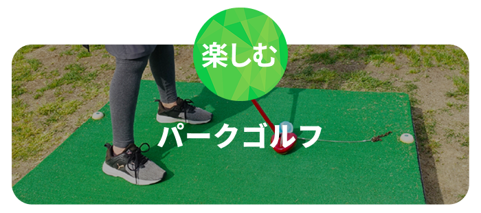 パークゴルフアイコン